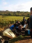 Les Vendanges au Domaine de la Feuillarde